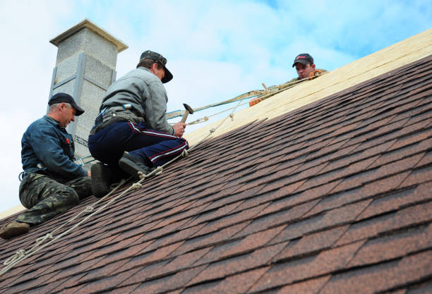 Quick and Trustworthy Emergency Roof Repair Services in Newman, CA